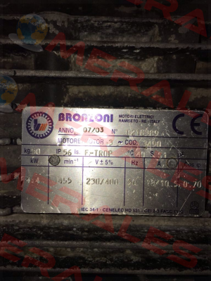 0218389  Bronzoni