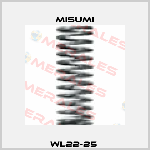WL22-25  Misumi