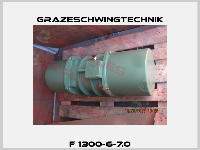 F 1300-6-7.0 GrazeSchwingtechnik