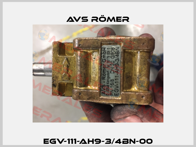 EGV-111-AH9-3/4BN-00 Avs Römer