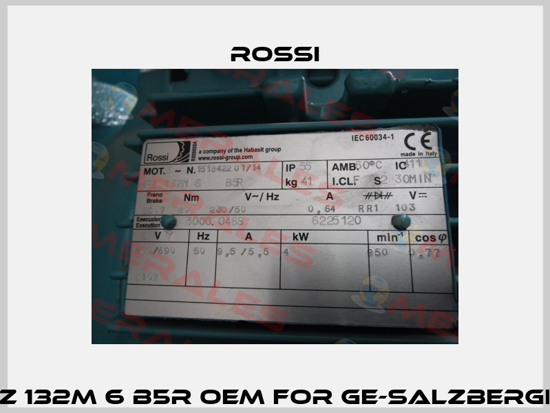 HFZ 132M 6 B5R OEM for GE-Salzbergen  Rossi