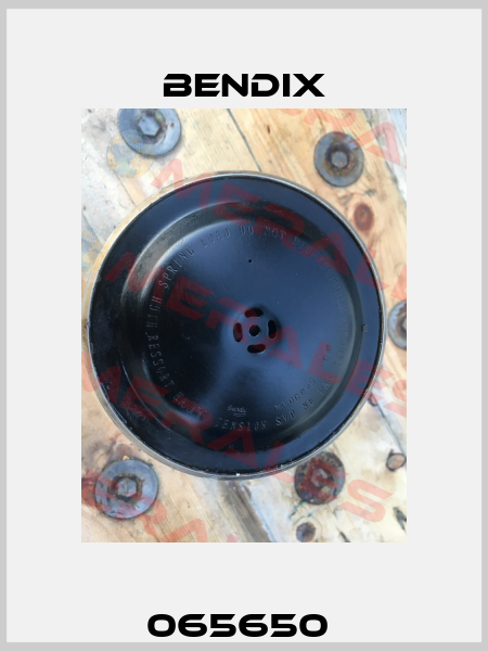065650  Bendix
