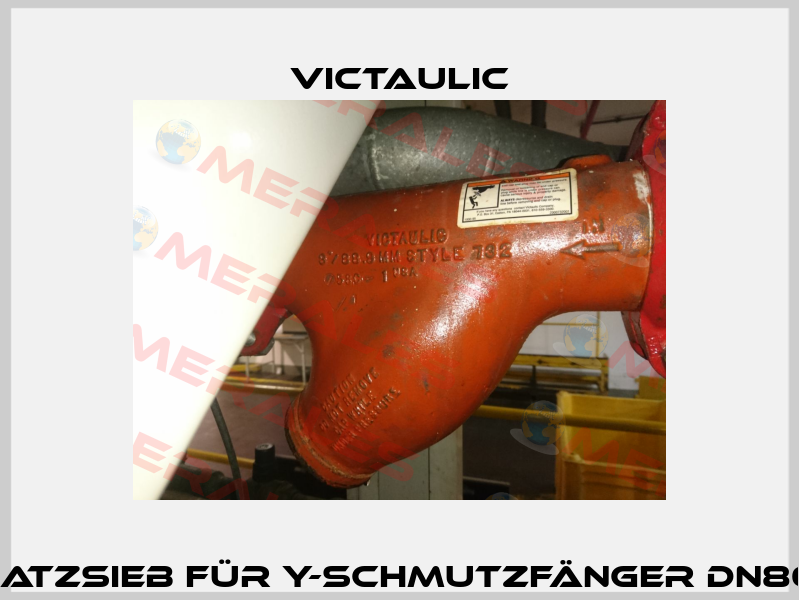 Ersatzsieb für Y-Schmutzfänger DN80/3"  Victaulic