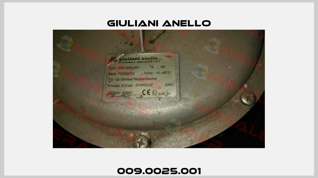 009.0025.001 Giuliani Anello