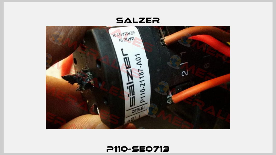 P110-SE0713 Salzer