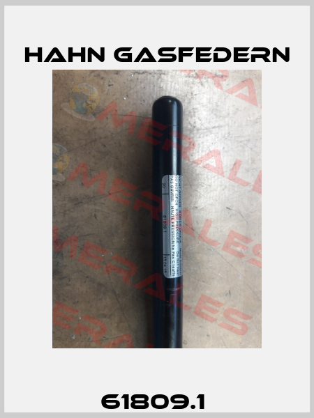 61809.1  Hahn Gasfedern