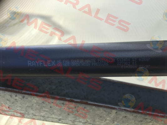 512404   Rayflex