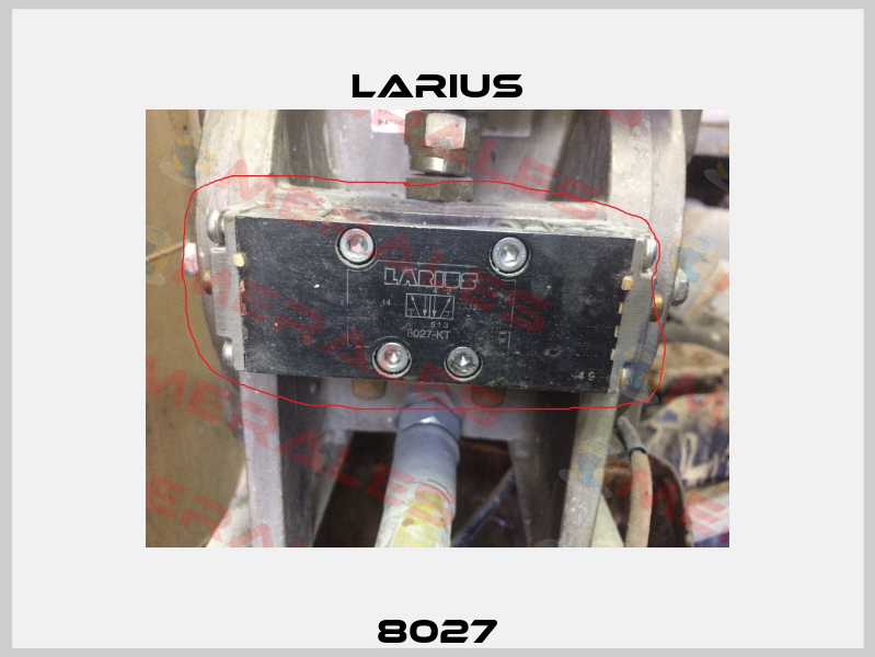 8027 Larius