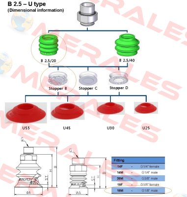 MS 20 B  Vmeca