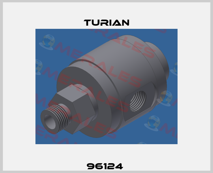 96124  Turian
