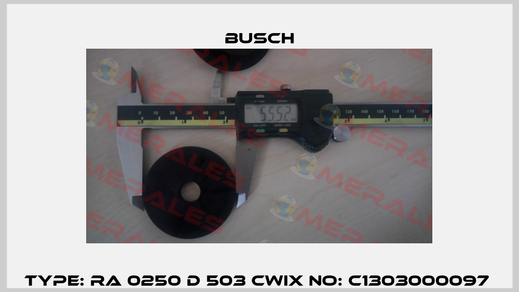 Type: RA 0250 D 503 CWIX No: C1303000097  Busch