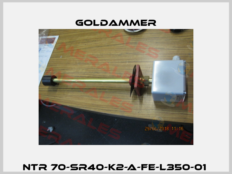 NTR 70-SR40-K2-A-FE-L350-01  Goldammer
