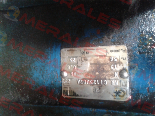 Socket for reducer MR CI 125 UO2A 299  Rossi