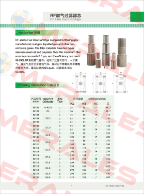 G2.0 Filtering Element Fiorentini