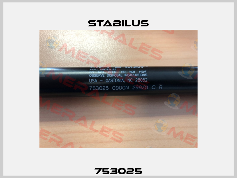 753025 Stabilus
