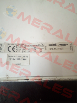 H216-41300-219M4 Salzer