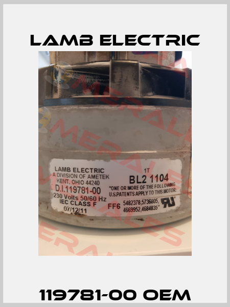 119781-00 OEM Lamb Electric