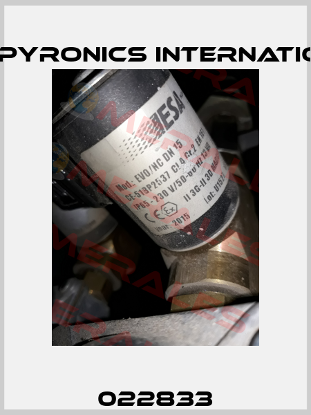 022833 ESA Pyronics International