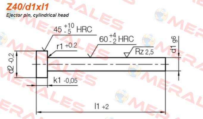 Z40/1,5x100 Hasco