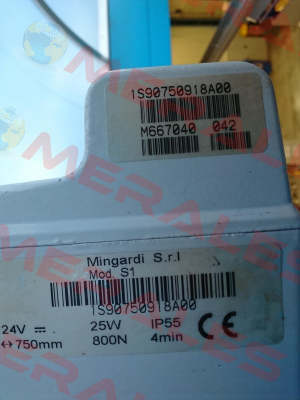 1S90750918A00 Mingardi