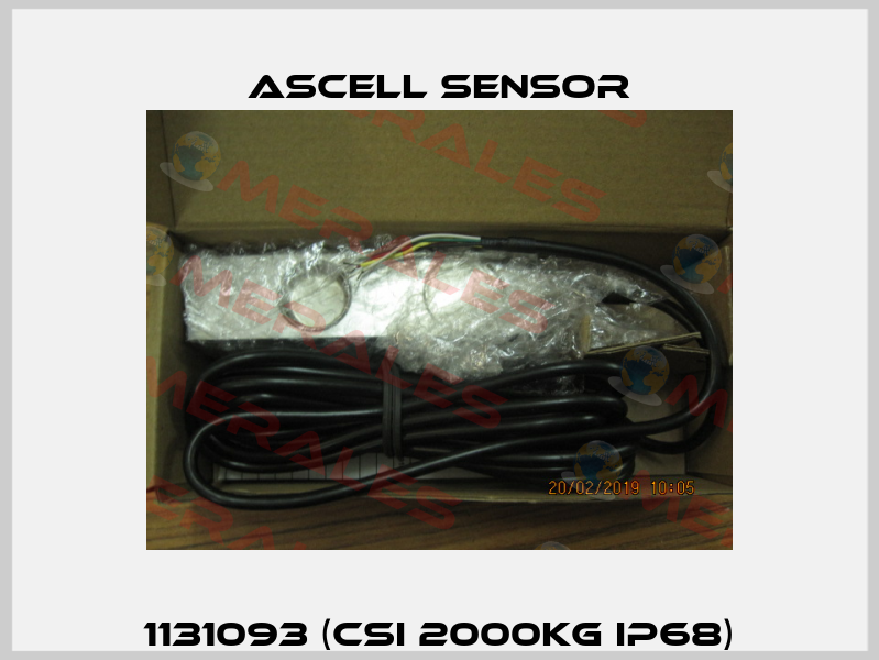 1131093 (CSI 2000kg IP68) Ascell Sensor