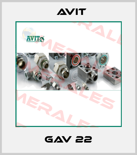 GAV 22 Avit