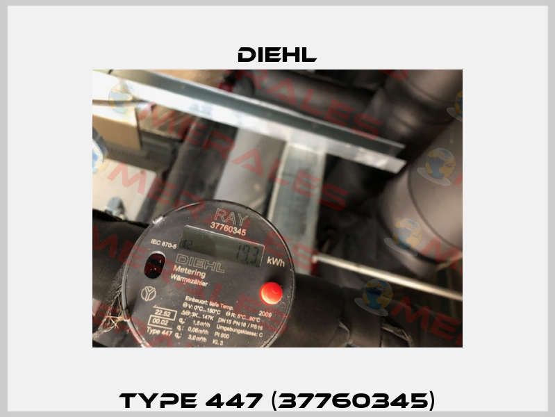 Type 447 (37760345) Diehl
