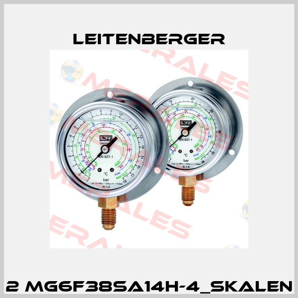 2 MG6F38SA14H-4_Skalen Leitenberger