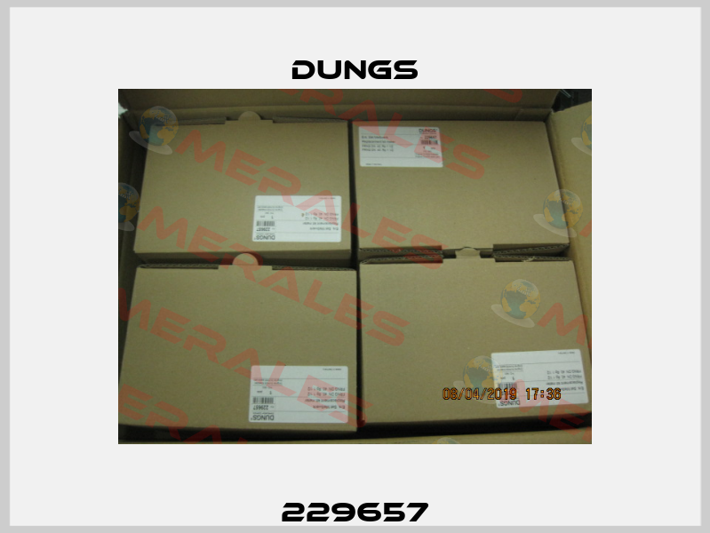 229657 Dungs
