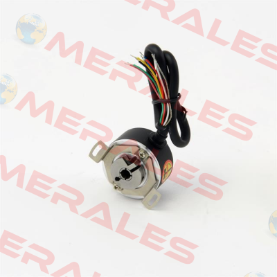 SE462000AA10030 Ever Elettronica