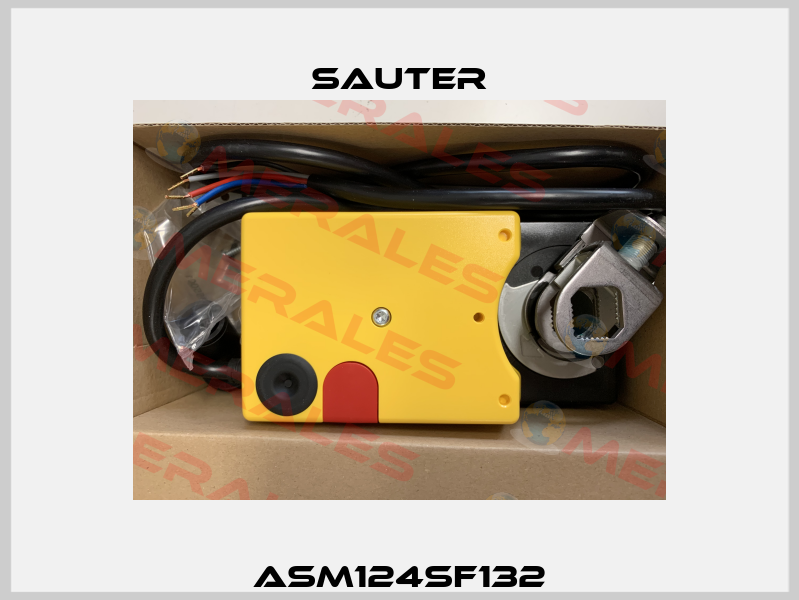 ASM124SF132 Sauter