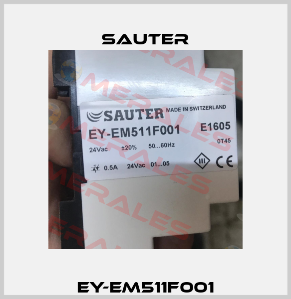 EY-EM511F001 Sauter