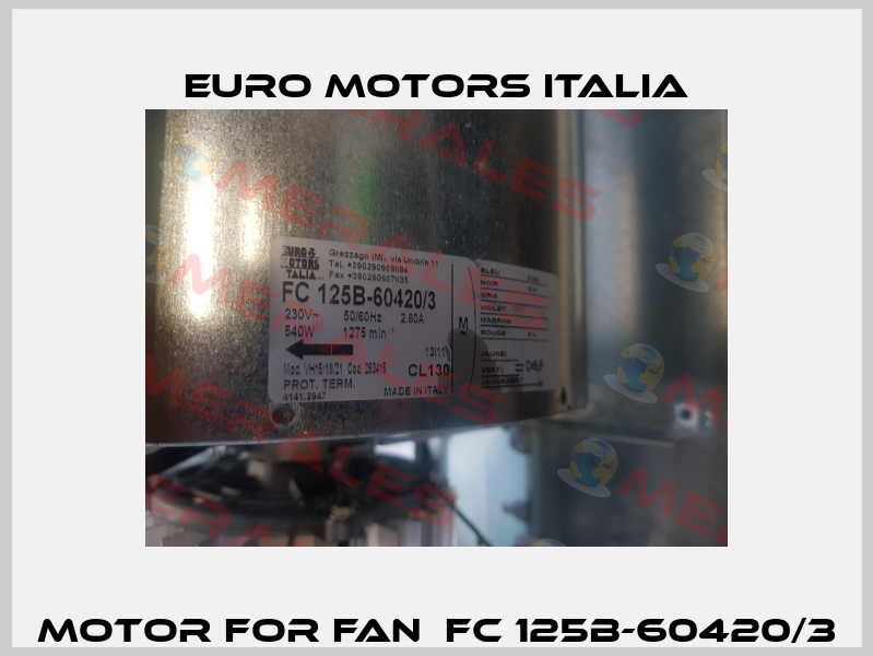 motor for fan  FC 125B-60420/3 Euro Motors Italia