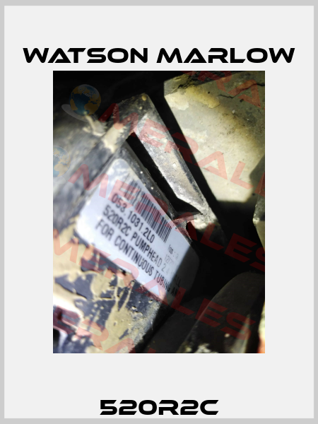 520R2C Watson Marlow