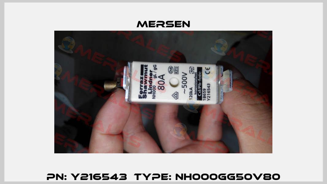 PN: Y216543  Type: NH000GG50V80 Mersen