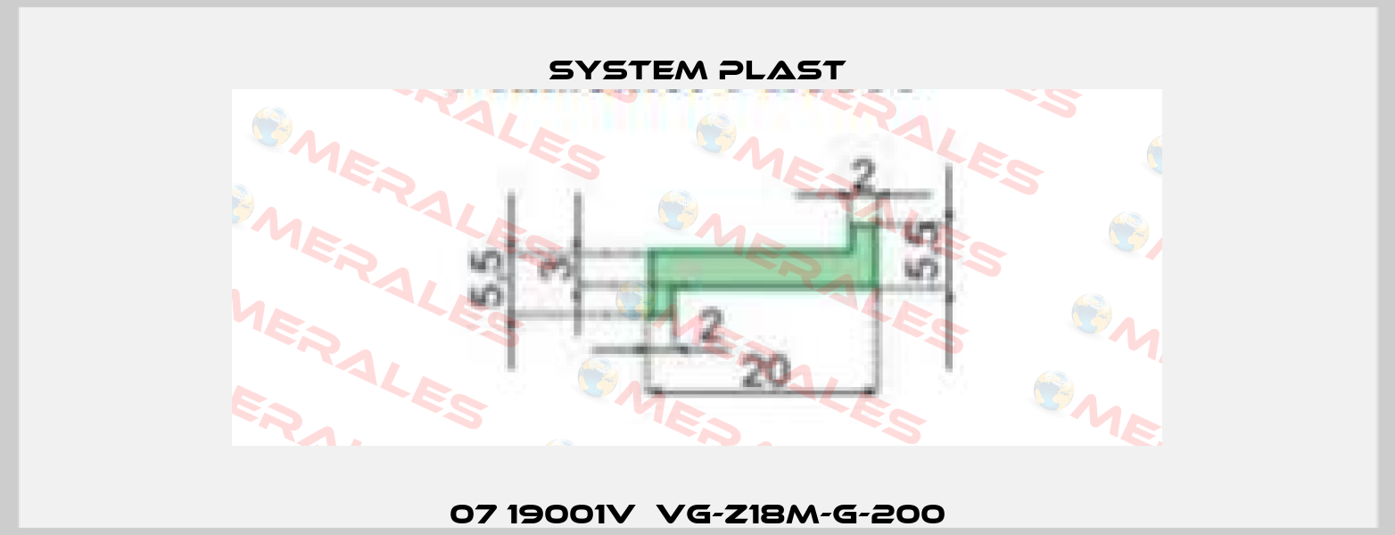07 19001V  VG-Z18M-G-200 System Plast