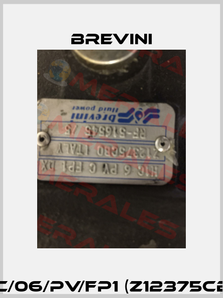 H1C/06/PV/FP1 (Z12375CB0) Brevini