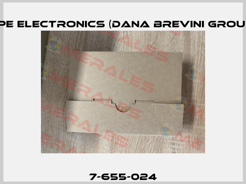 7-655-024 BPE Electronics (Dana Brevini Group)