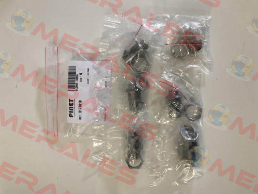 8177019 Pinet