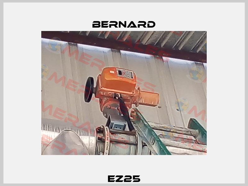 EZ25 Bernard
