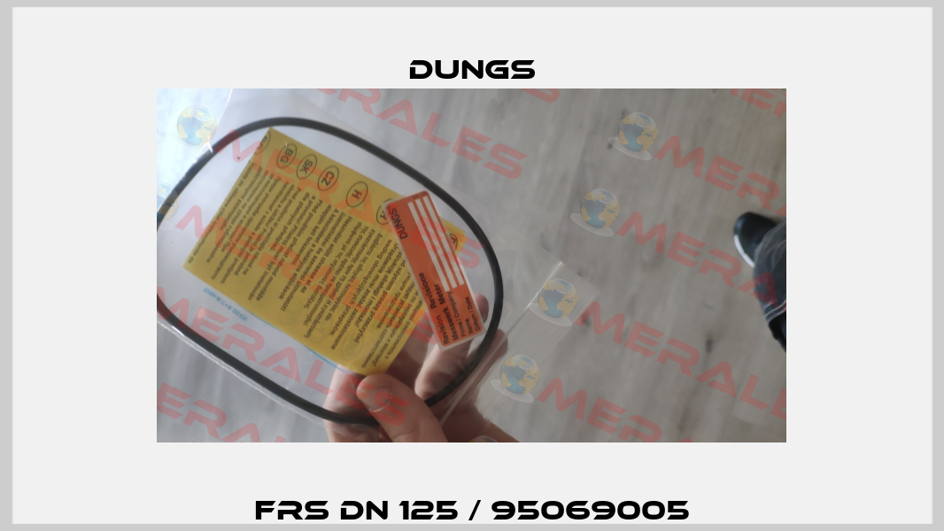 FRS DN 125 / 95069005 Dungs