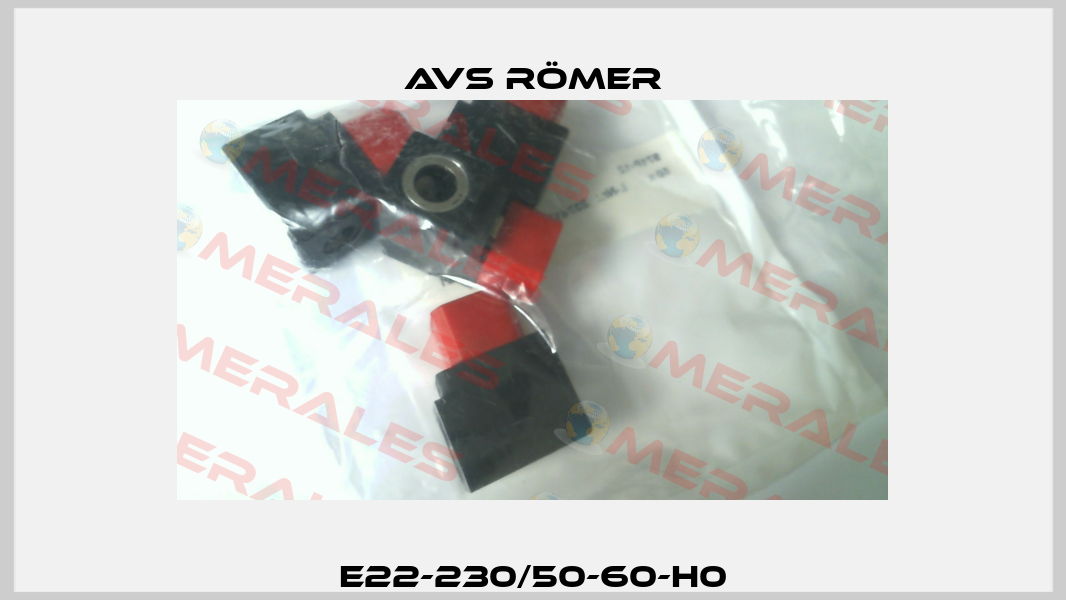 E22-230/50-60-H0 Avs Römer