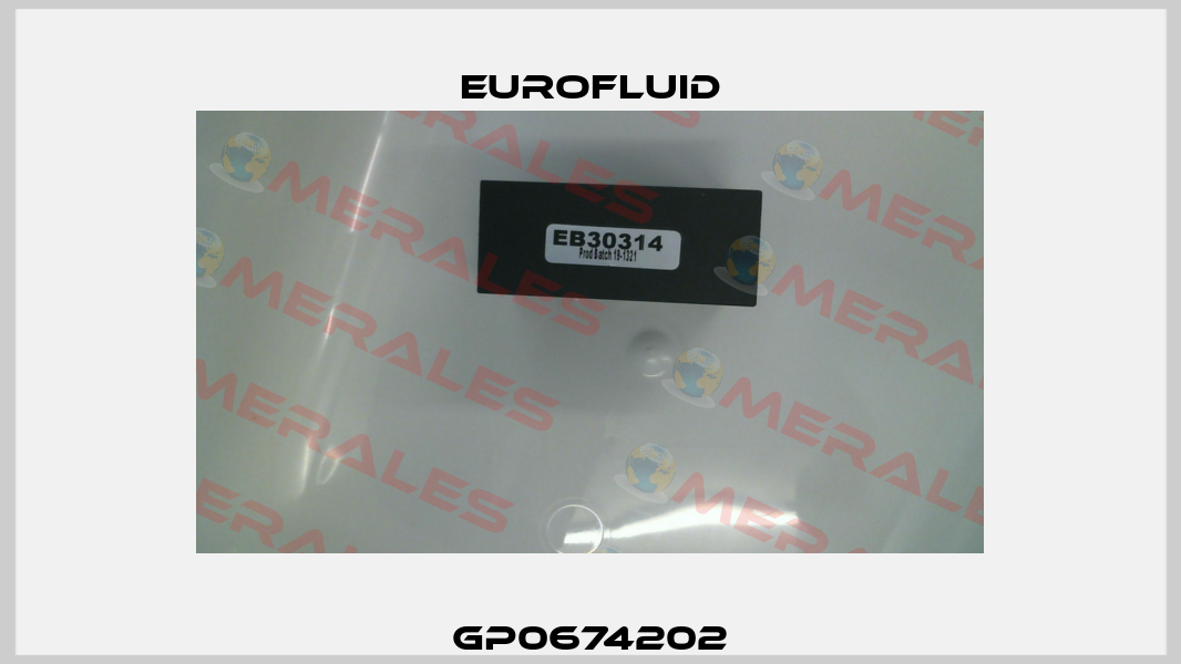 GP0674202 Eurofluid