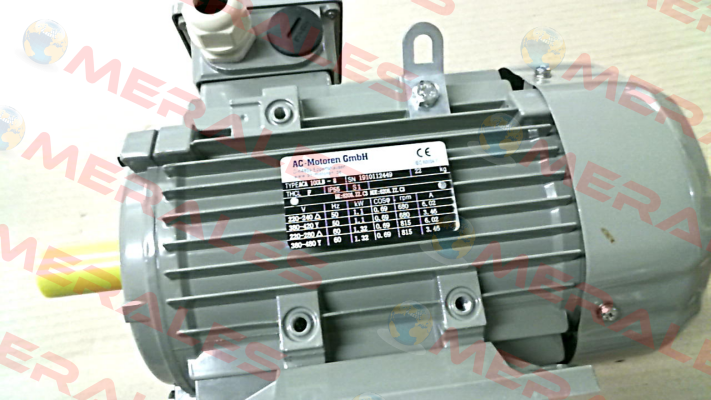 ACA 100 Lb-8 AC Motoren