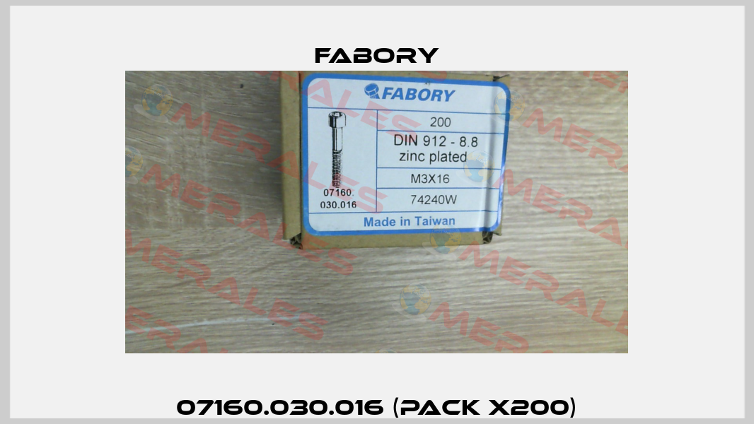 07160.030.016 (pack x200) Fabory