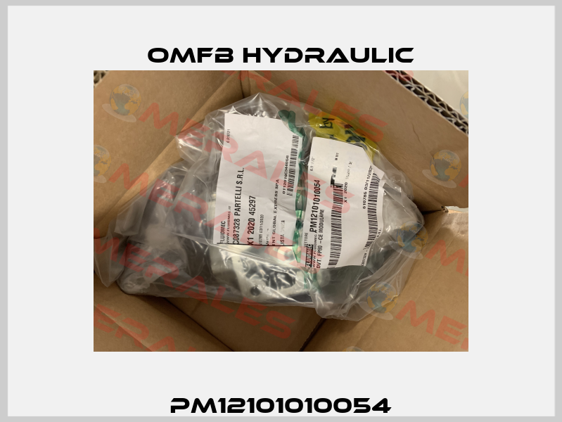 PM12101010054 OMFB Hydraulic