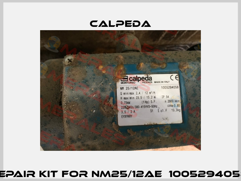 Repair kit for NM25/12AE  1005294058  Calpeda