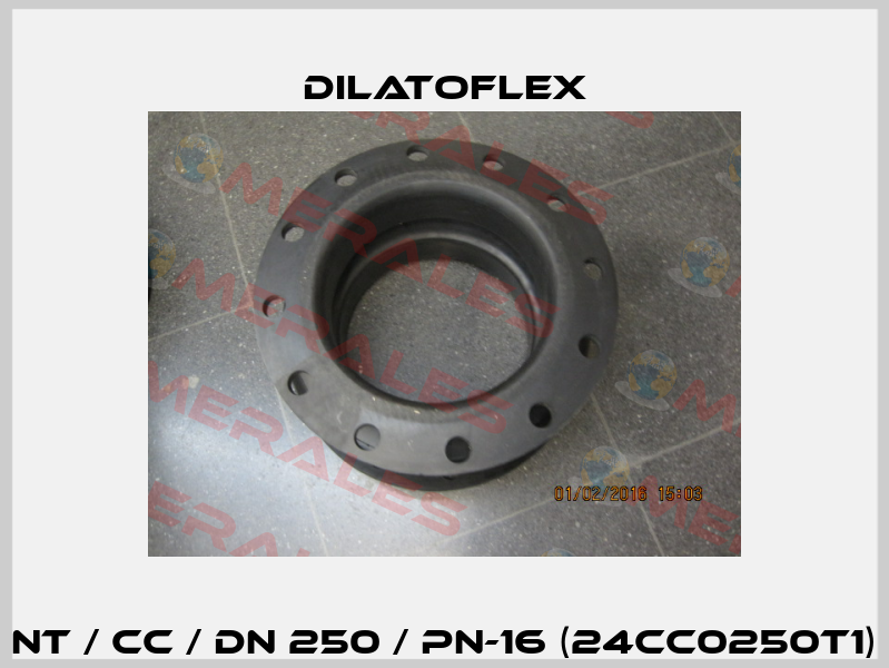 NT / CC / DN 250 / PN-16 (24CC0250T1) DILATOFLEX