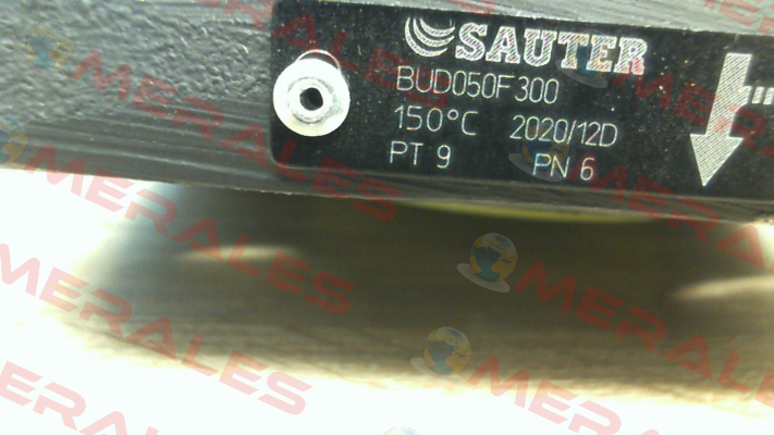 BUD050F300 Sauter