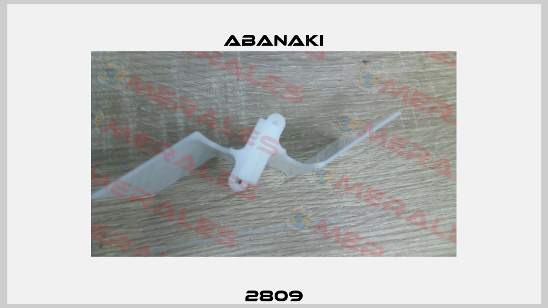 2809 Abanaki